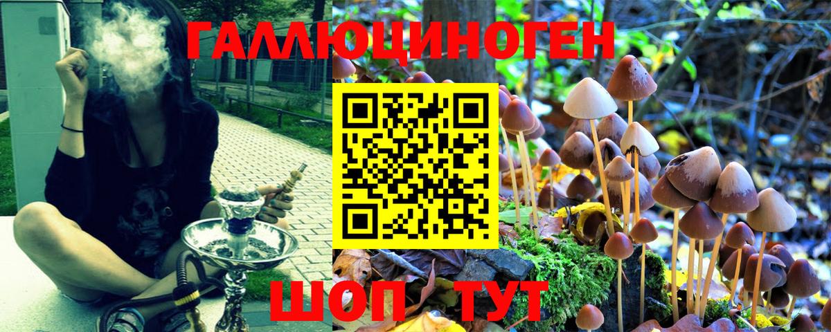 Горно-Алтайск  Псилоцибиновые грибы MAGIC MUSHROOMS  Вход с VPN 