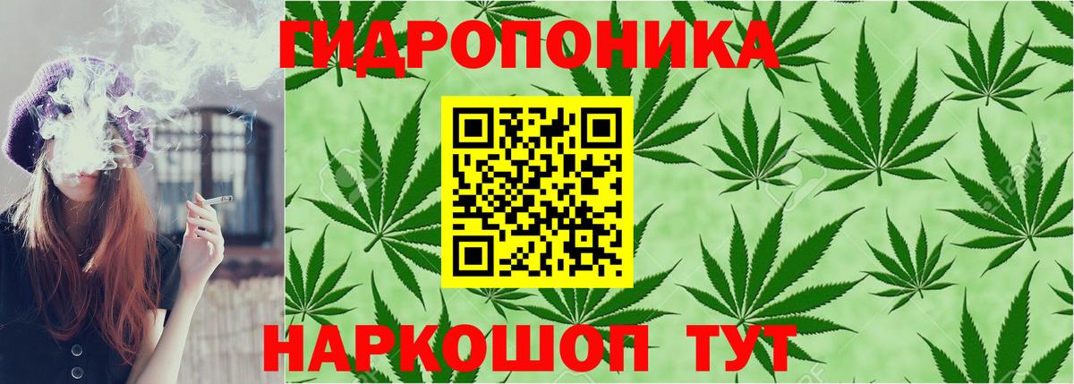Марихуана White Widow Горно-Алтайск